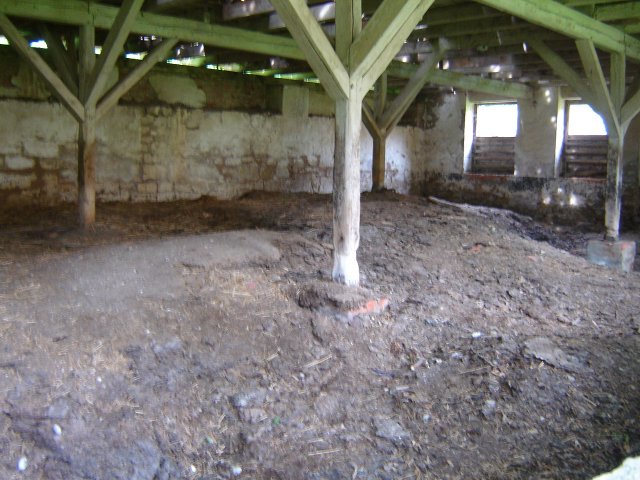 DSC03025
